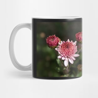 Crysanthemum Mug